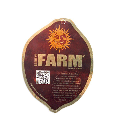 Семена сорта Phatt Fruity fem