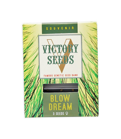 Семена сорта Blow Dream fem (Victory Seeds)