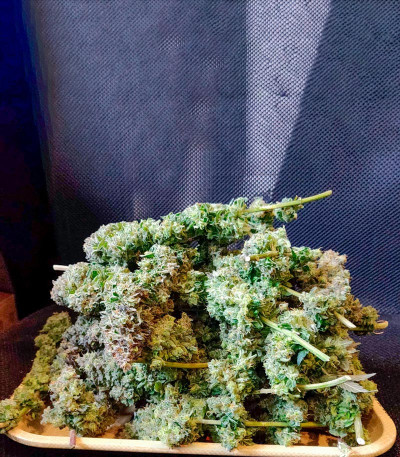 Семена сорта Vanilla Kush fem (Barney's Farm)