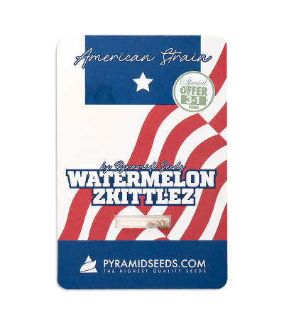 Семена сорта Watermelon Zkittlez fem (Pyramid Seeds)