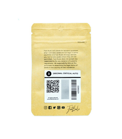 Семена сорта Original Auto Critical fem (FastBuds)