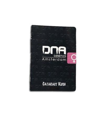 Семена сорта Cataract Kush fem