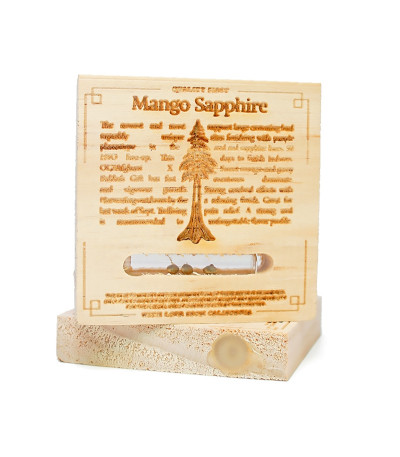 Семена сорта Mango Sapphire fem