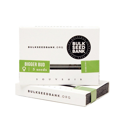 Семена сорта Bigger Bud fem