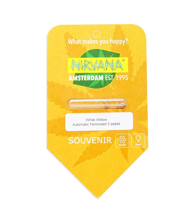 Семена сорта White Widow Automatic fem (Nirvana Seeds)