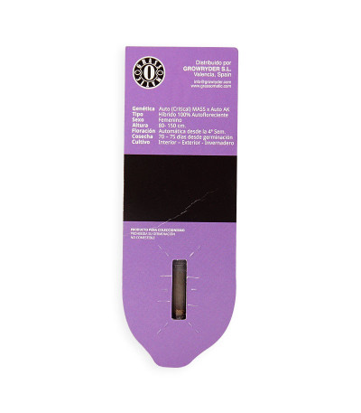 Семена сорта MAXI GOM auto fem