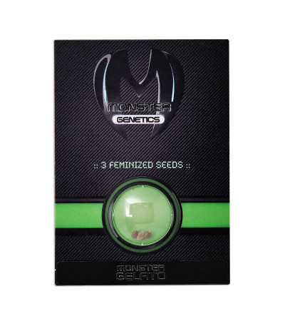Семена сорта Monster Gelato fem (Monster Genetics)