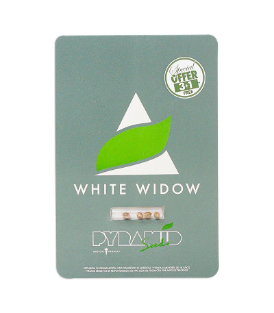 Семена сорта White Widow fem (Pyramid Seeds)