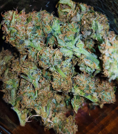 Семена сорта Gorilla Auto fem (Glue auto)