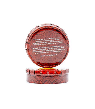 Семена сорта Auto 00 Cheese fem (Auto 00 Hashchis)