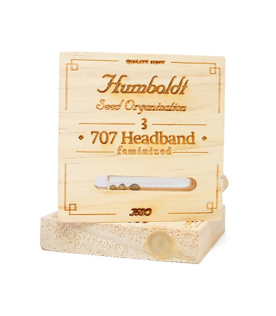 Семена сорта 707 Headband fem (Humboldt Seeds)