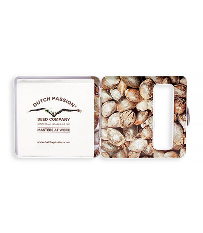 Семена сорта Think Big auto fem