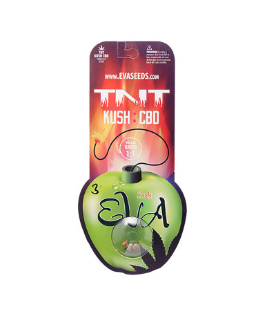 Семена сорта TNT Kush CBD fem