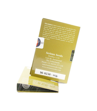 Семена сорта Motavation reg (Serious Seeds)