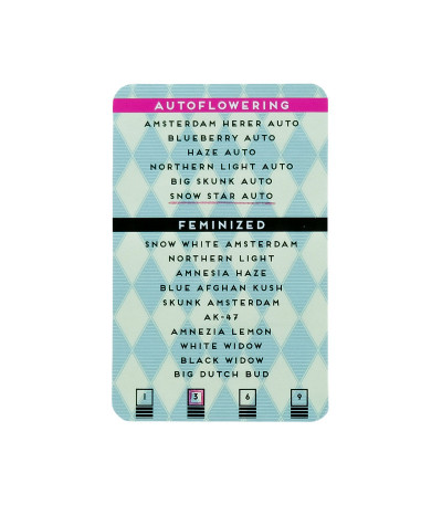 Семена конопли сорта Snow Star Auto