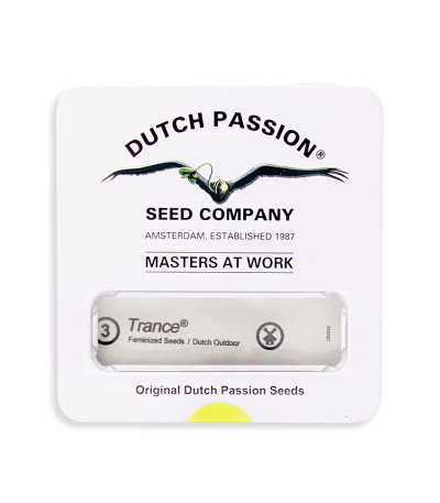 Семена сорта Trance fem