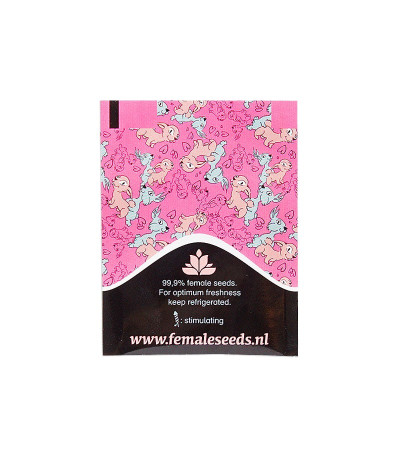 Семена марихуаны Sex Bud в оригинальной упаковке