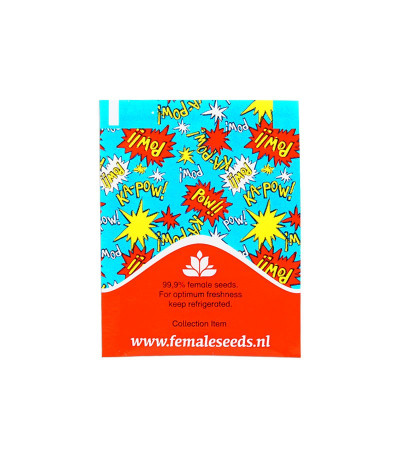 Семена марихуаны Auto AK в оригинальной упаковке