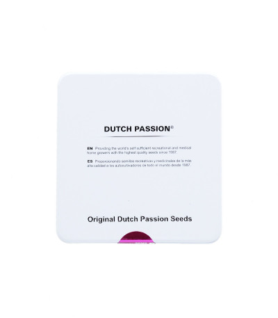 Семена сорта Auto Mimosa Punch fem (Dutch Passion)