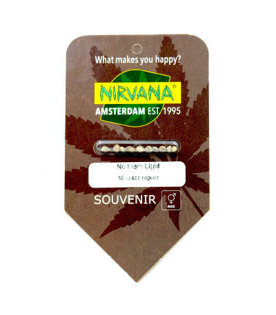 Семена сорта Northern Lights reg (Nirvana Seeds)