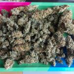 rainbow-road-fem-paradise-seeds.jpg