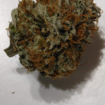 strawberry-og-cookies-r1-fem-ethos-genetics.jpg