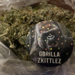 gorilla-zkittlez-fem-Semyanich.jpeg