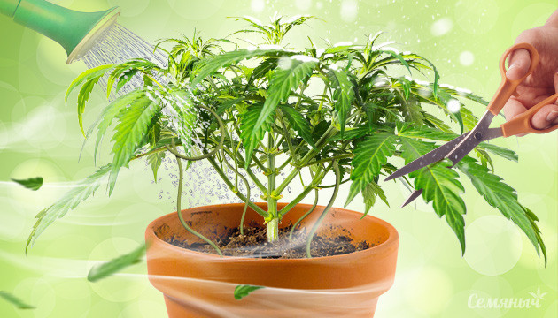 Как противостоять стрессам