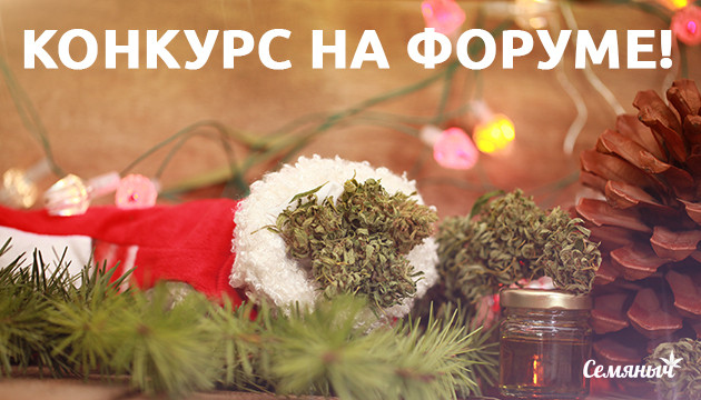 Подарки на форуме Семяныч